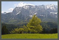 Wettersteingebirge