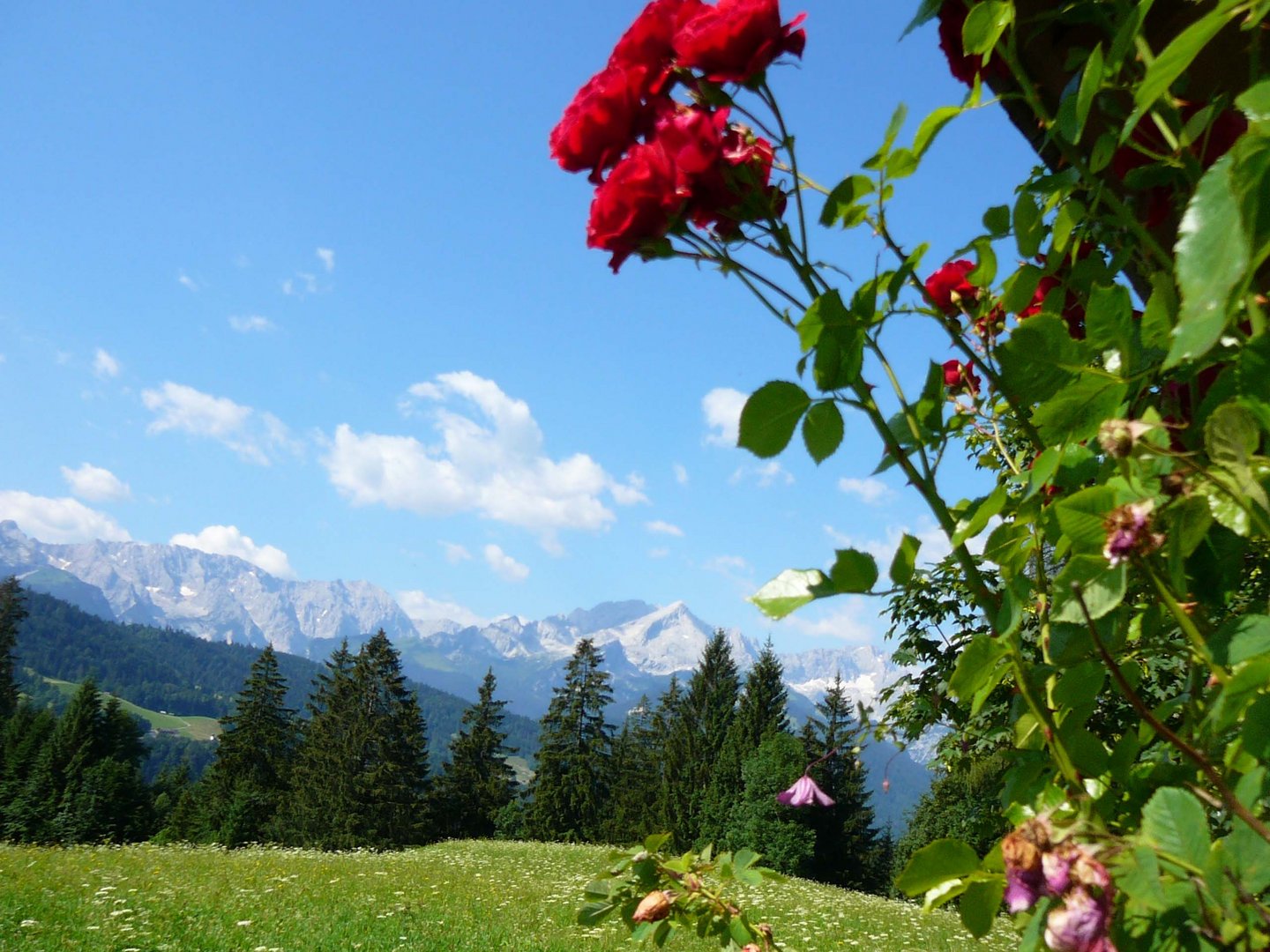 Wettersteingebirge