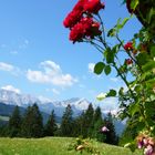 Wettersteingebirge