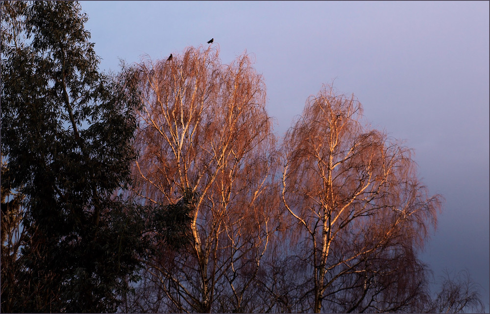 Wetterstimmung