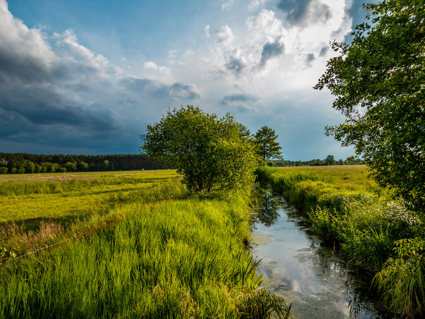 Wetterstimmung am Graben