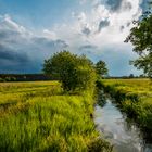 Wetterstimmung am Graben