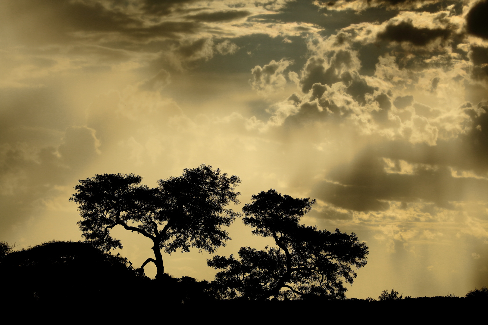 Wetterstimmung im Ruaha-Nationalpark