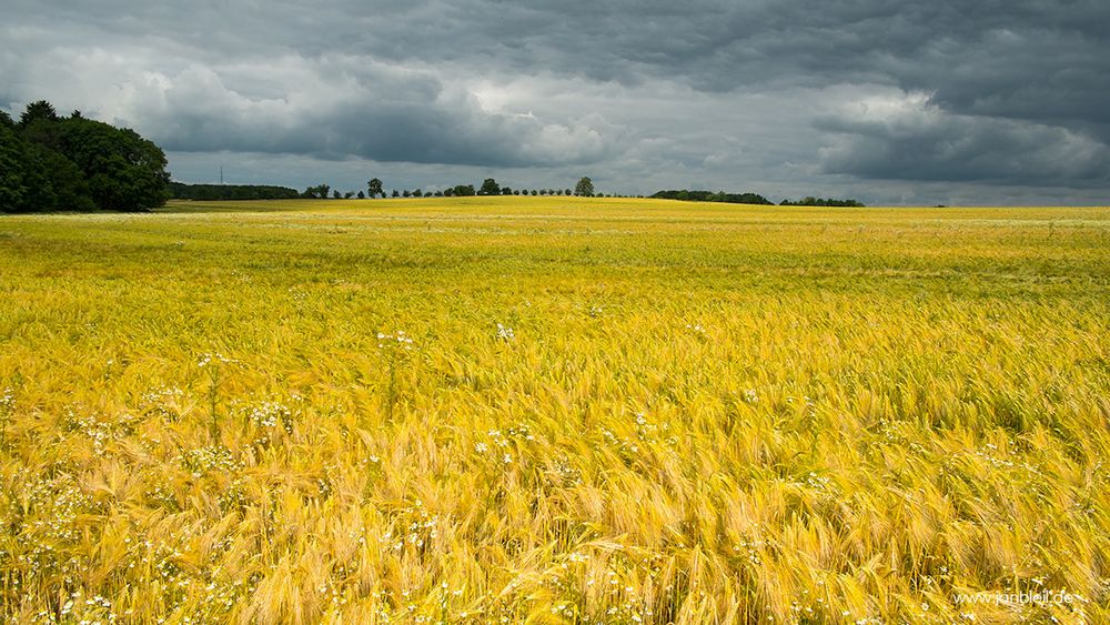 Wetterstimmungen