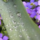 Wetterstörung an Ostern