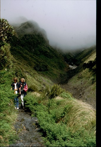 Wettersturz am Mt.Taranaki