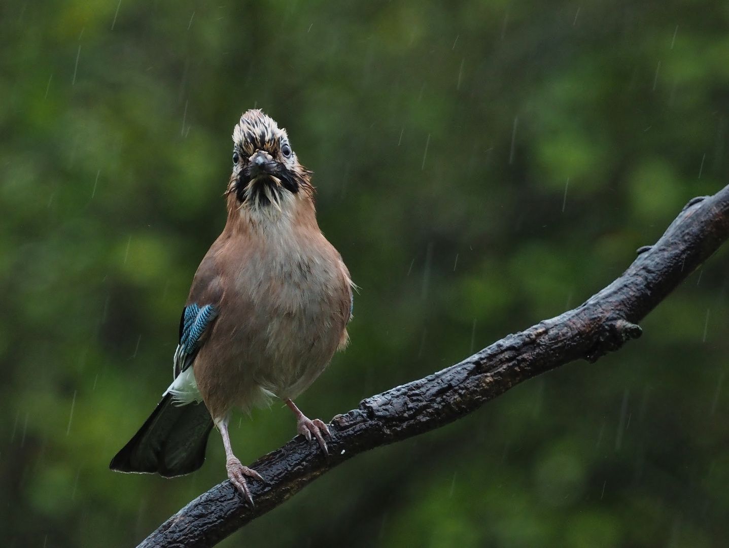 Wettertechnisch....