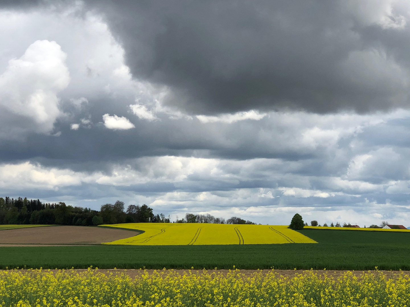 Wetterumschlag im Frühling