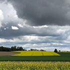 Wetterumschlag im Frühling