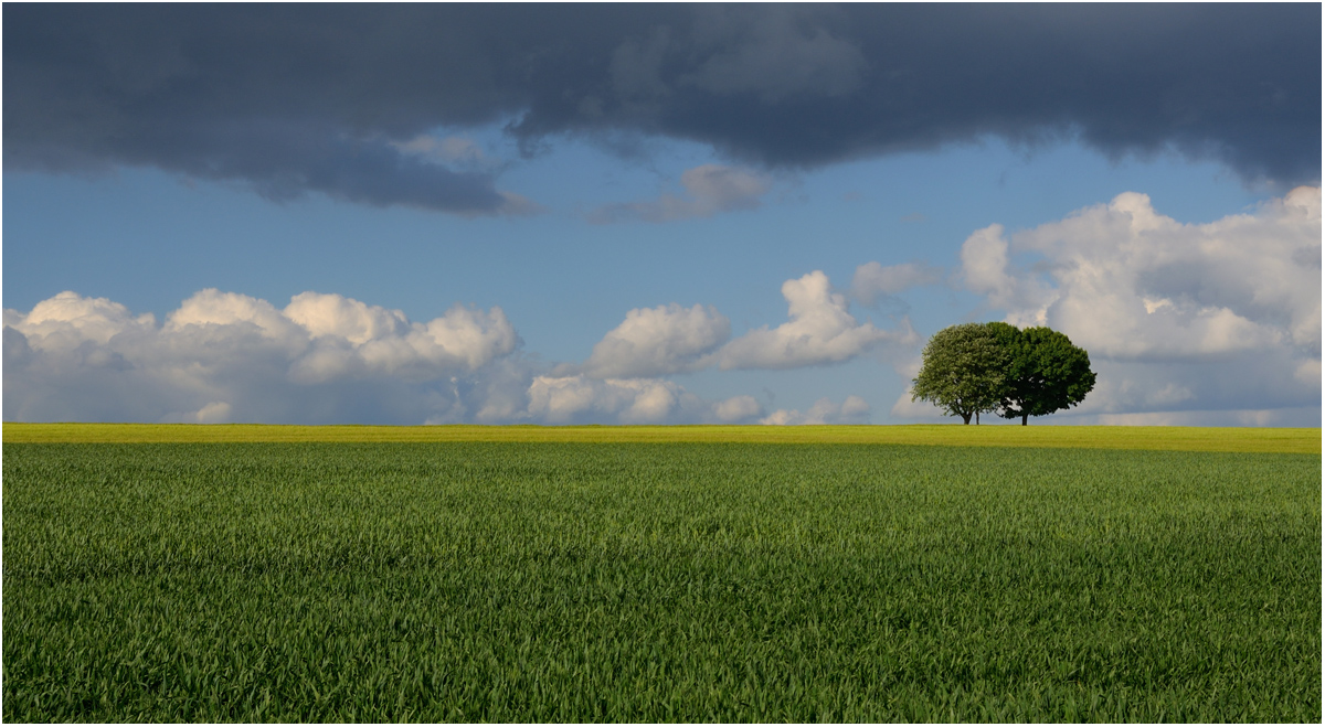 Wetterumschwung