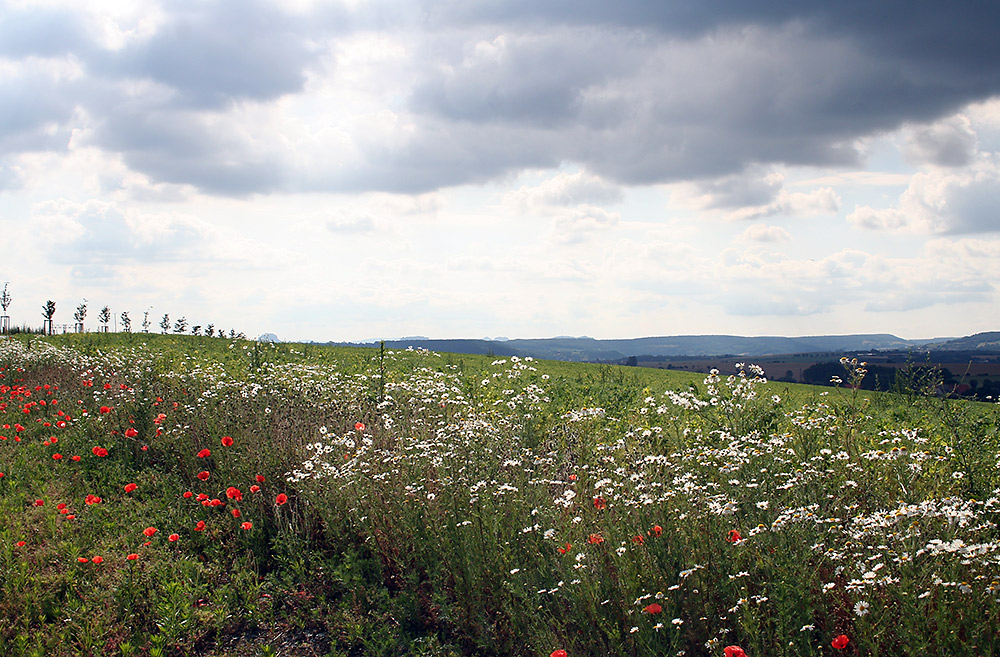 Wetterumschwung