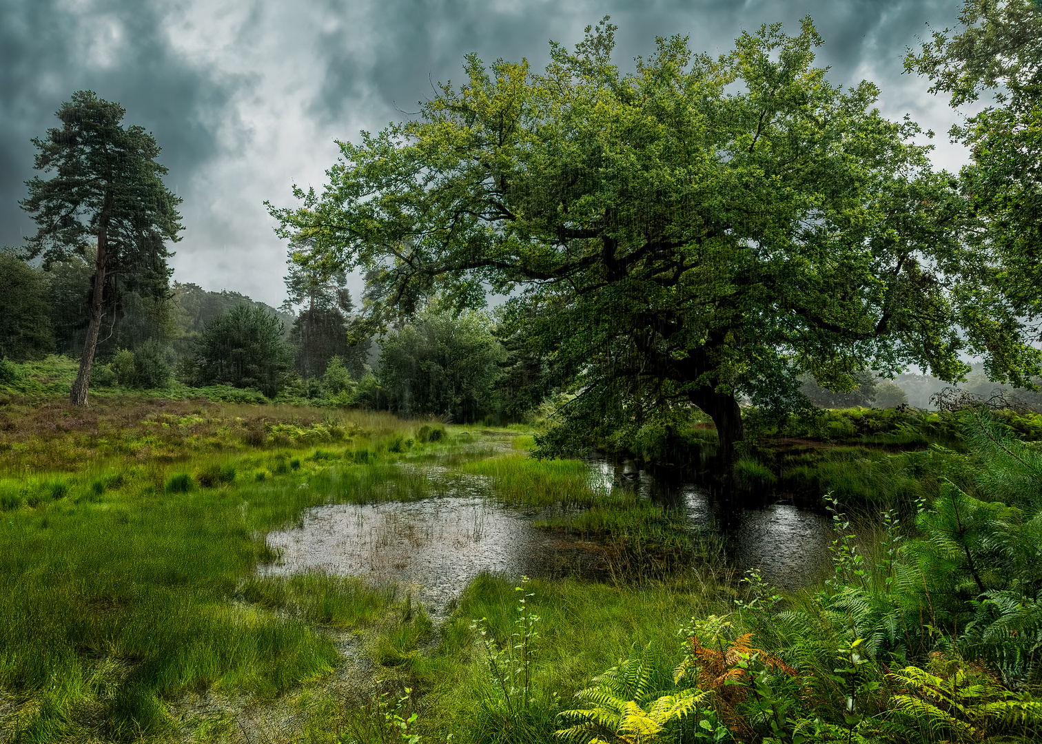 Wetterumschwung