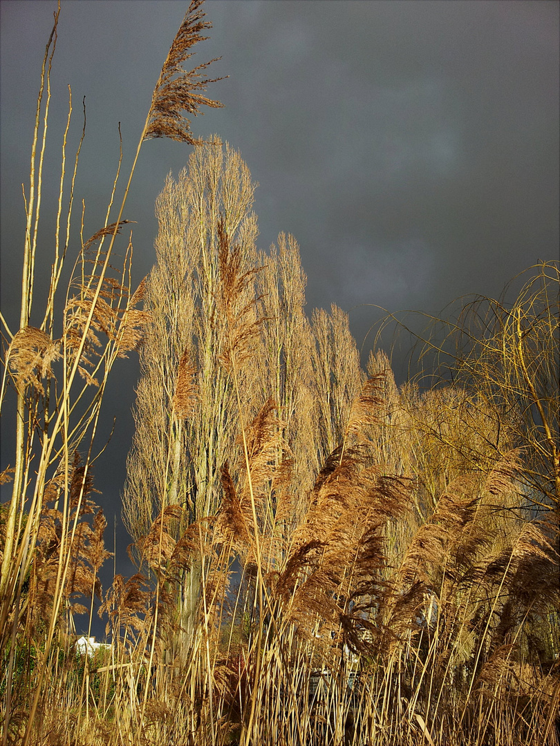 Wetterumschwung