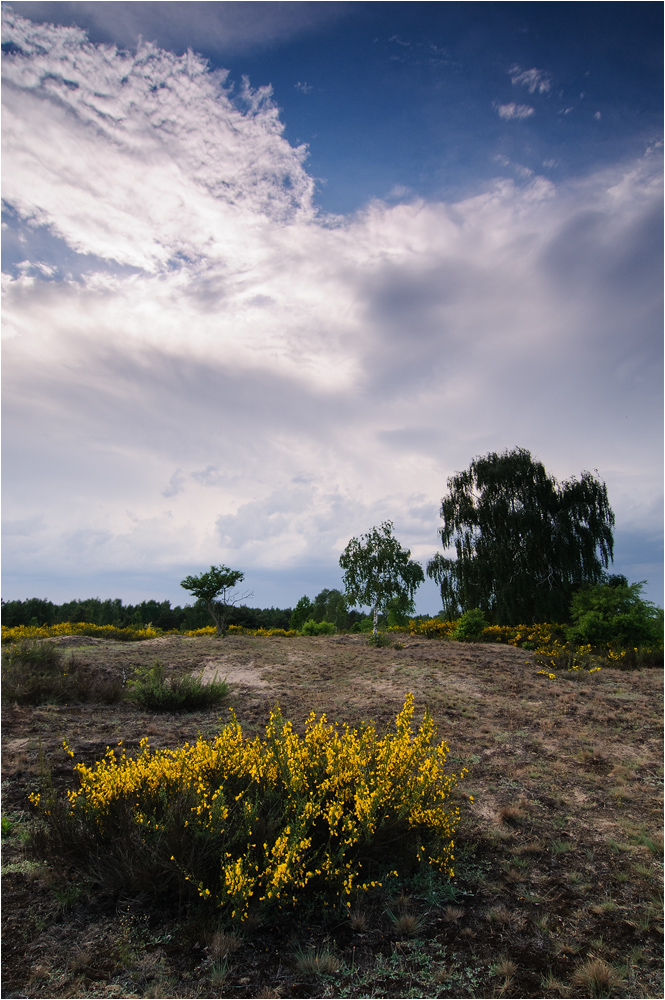 ~ Wetterumschwung ~