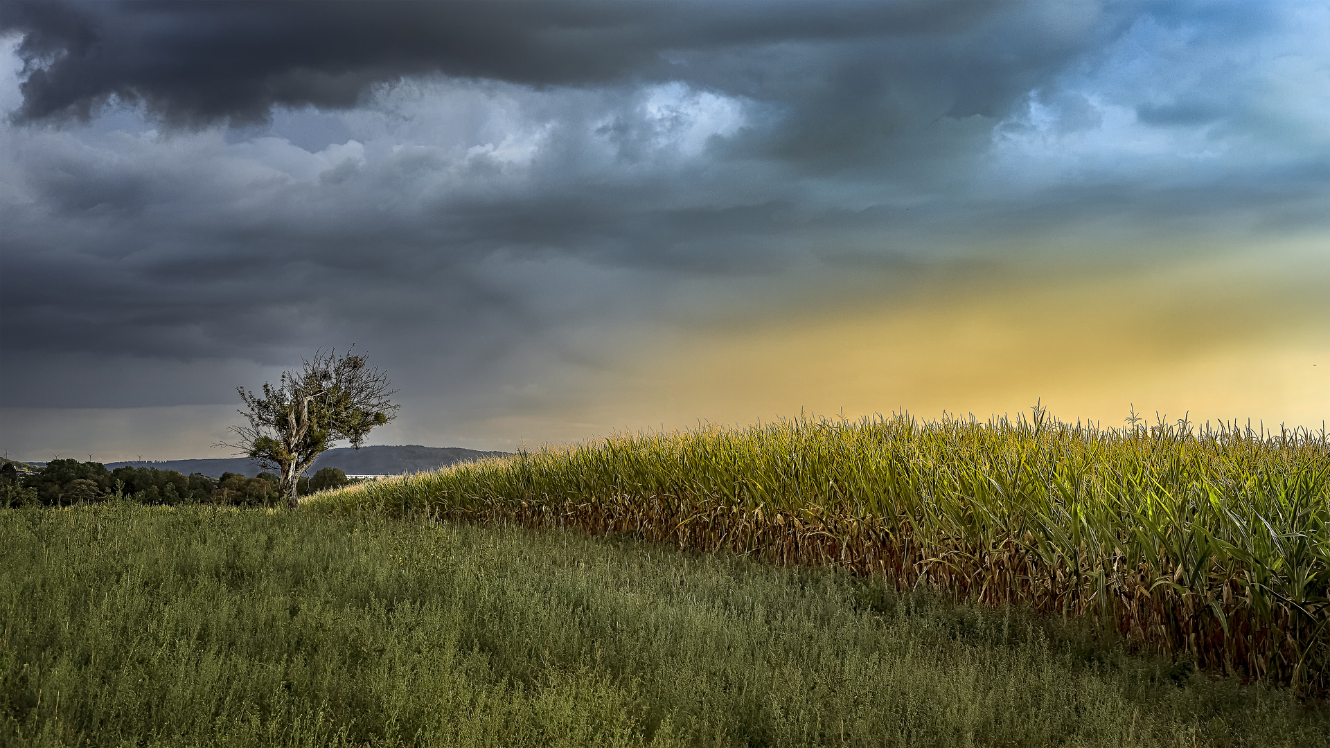 Wetterumschwung Nach Sommer Wochenende Sturm Gewitter Und Temperatursturz Um 20 Grad - r5azmmz