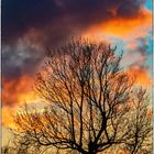 Wetterumschwung einen Abend vor Frühlingsanfang 