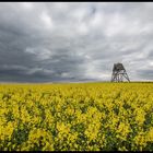 " Wetterumschwung, ob der Schnee nochmal kommt"