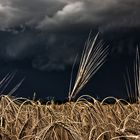 Wetterunheil zieht auf....