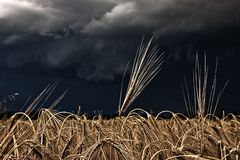 Wetterunheil zieht auf....