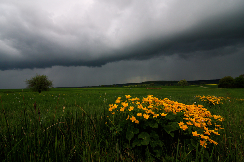 Wettervorhersage