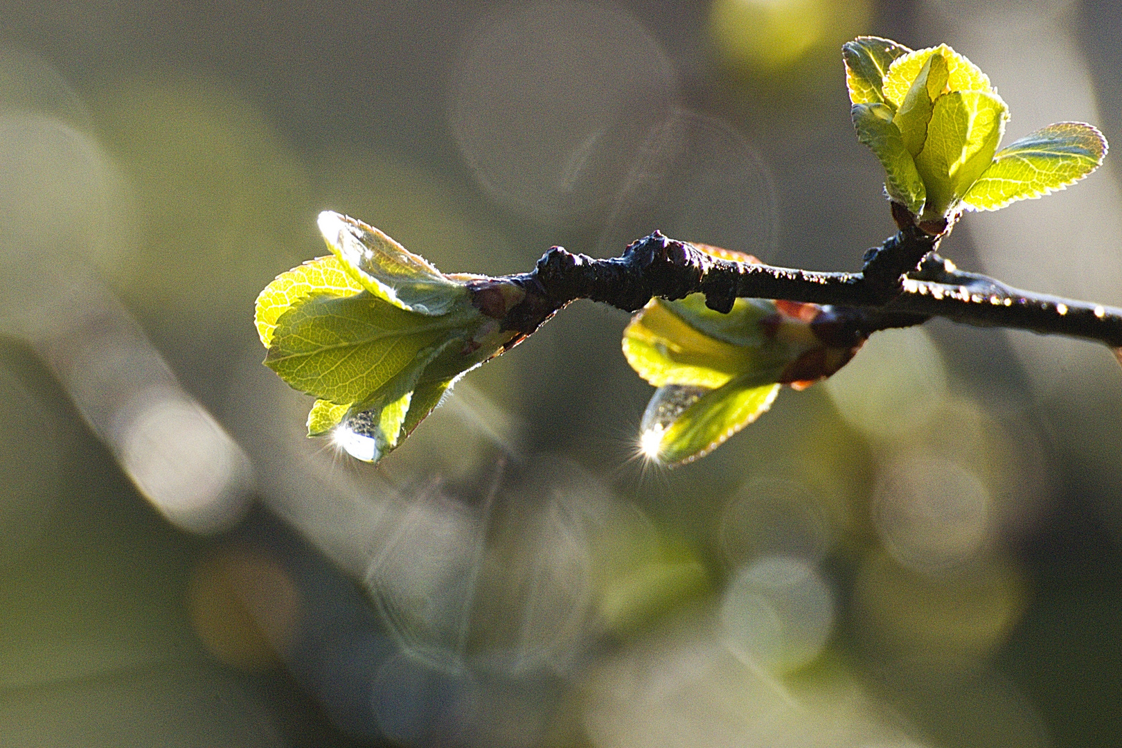 Wettervorhersage II.