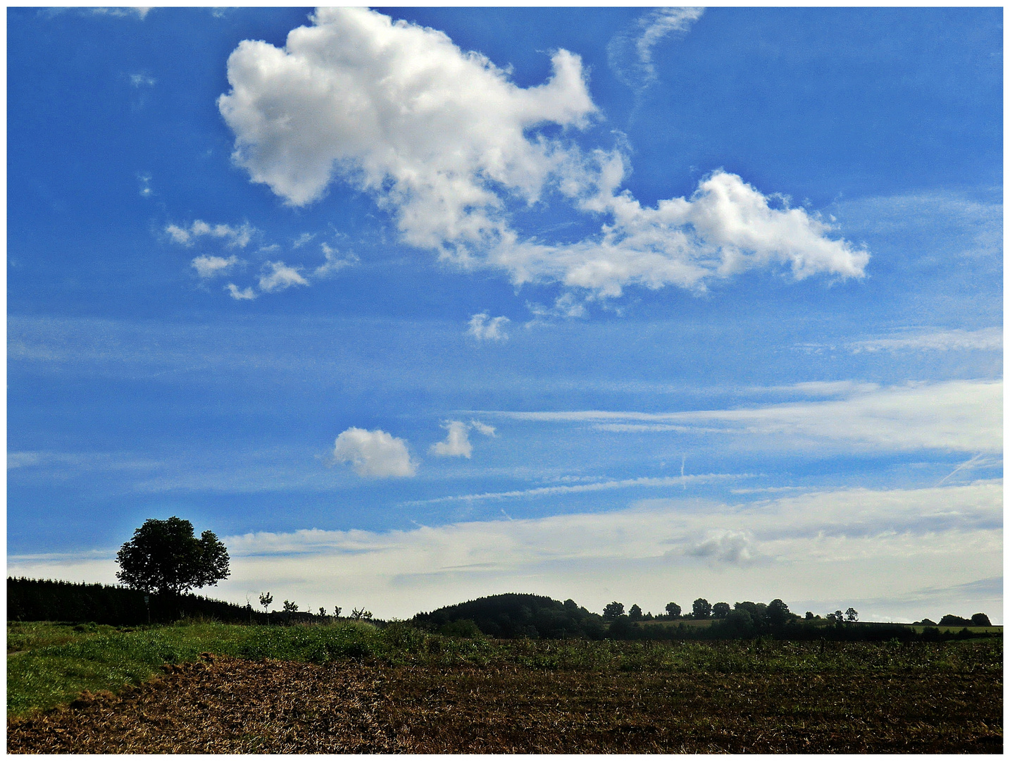 Wettervorhersage: Regen