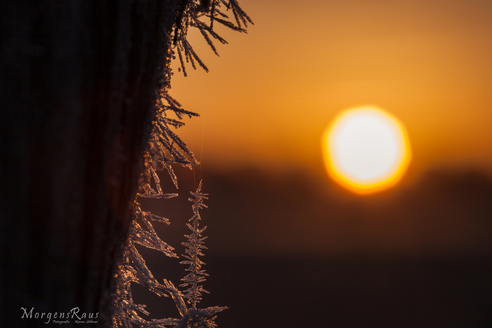 Wettervorhersage "Sonnig & Frostig 