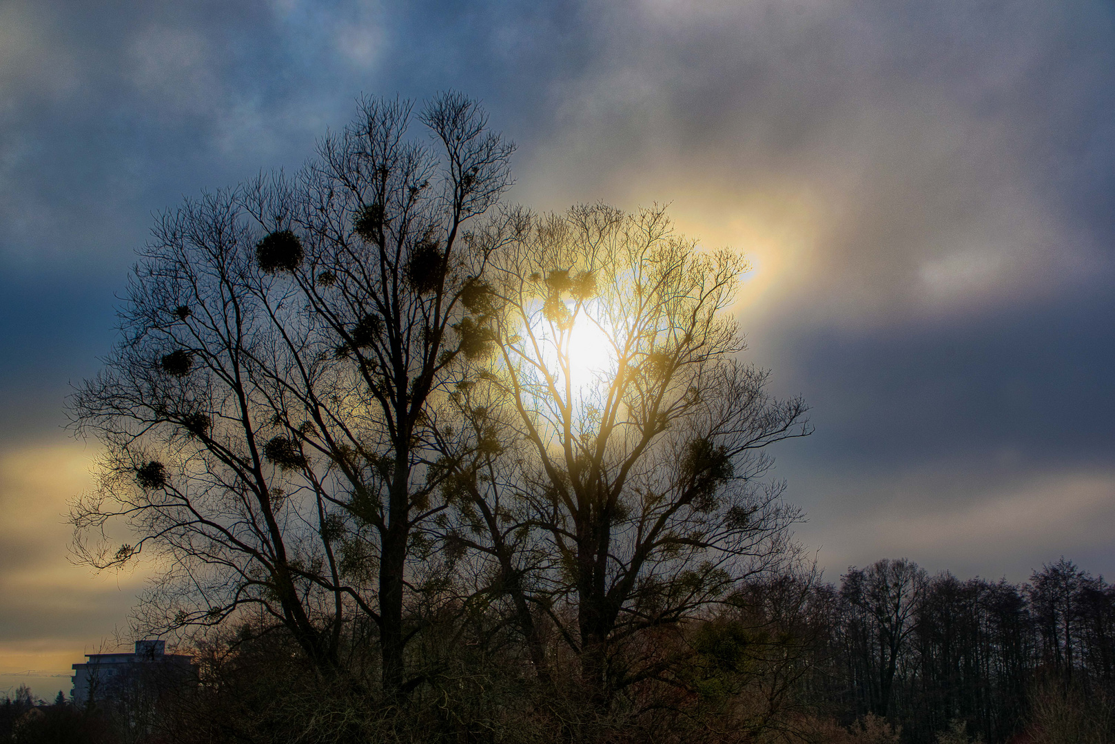 Wetterwechsel im Gegenlicht in Radolfzell am Bodensee 