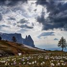 Wetterwechsel in den Dolomiten