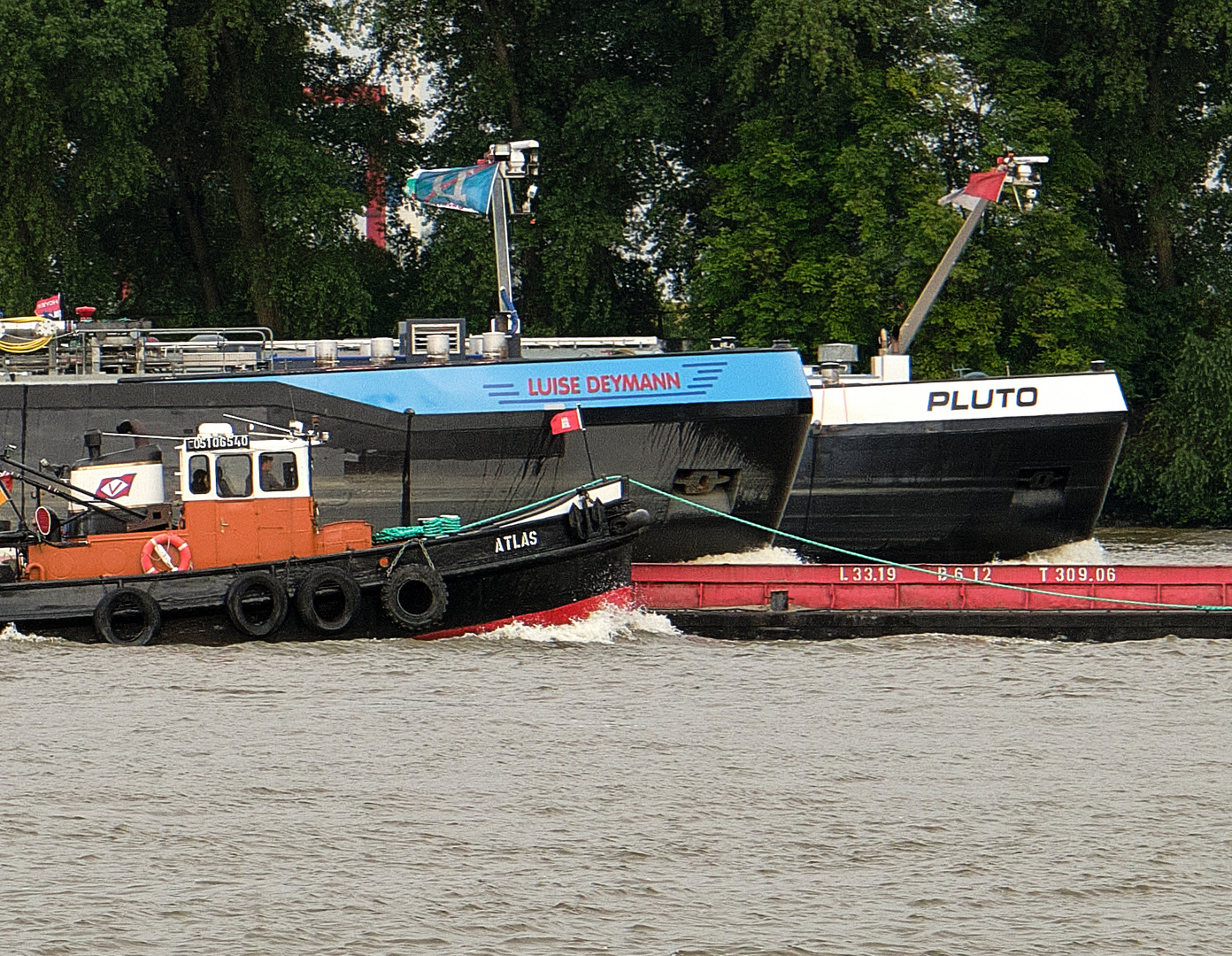 Wettfahrt der Binnenschiffer auf der Elbe in Hamburg