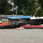 Wettfahrt der Binnenschiffer auf der Elbe in Hamburg