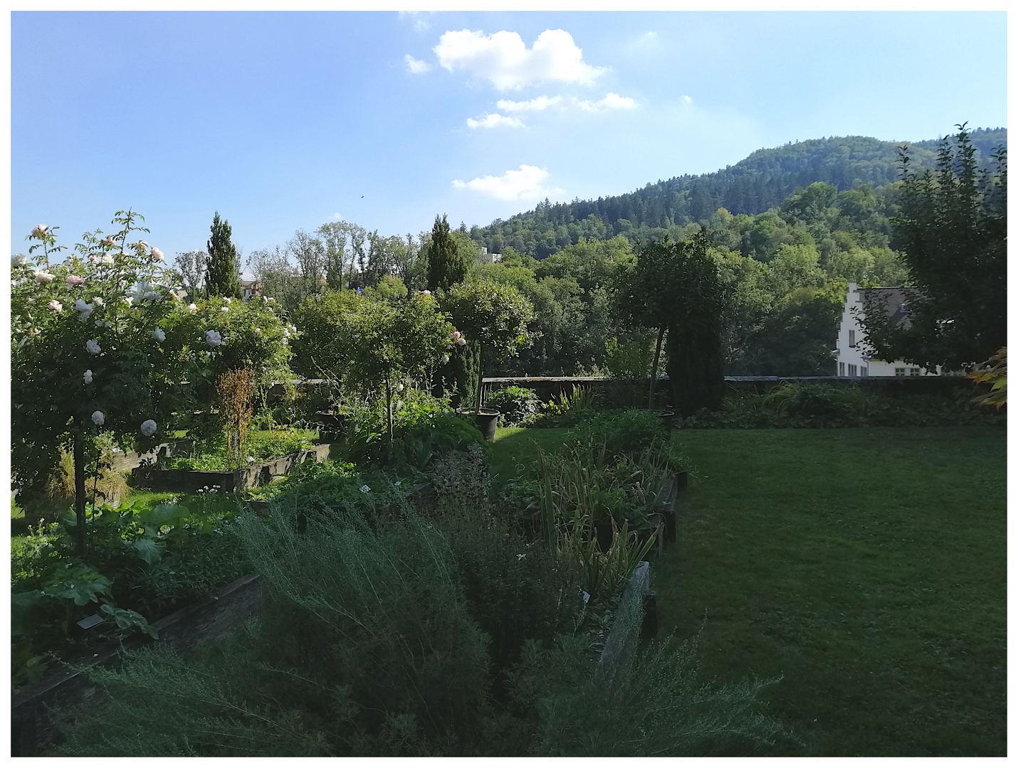 Wettingen, Im schattigen Klostergarten