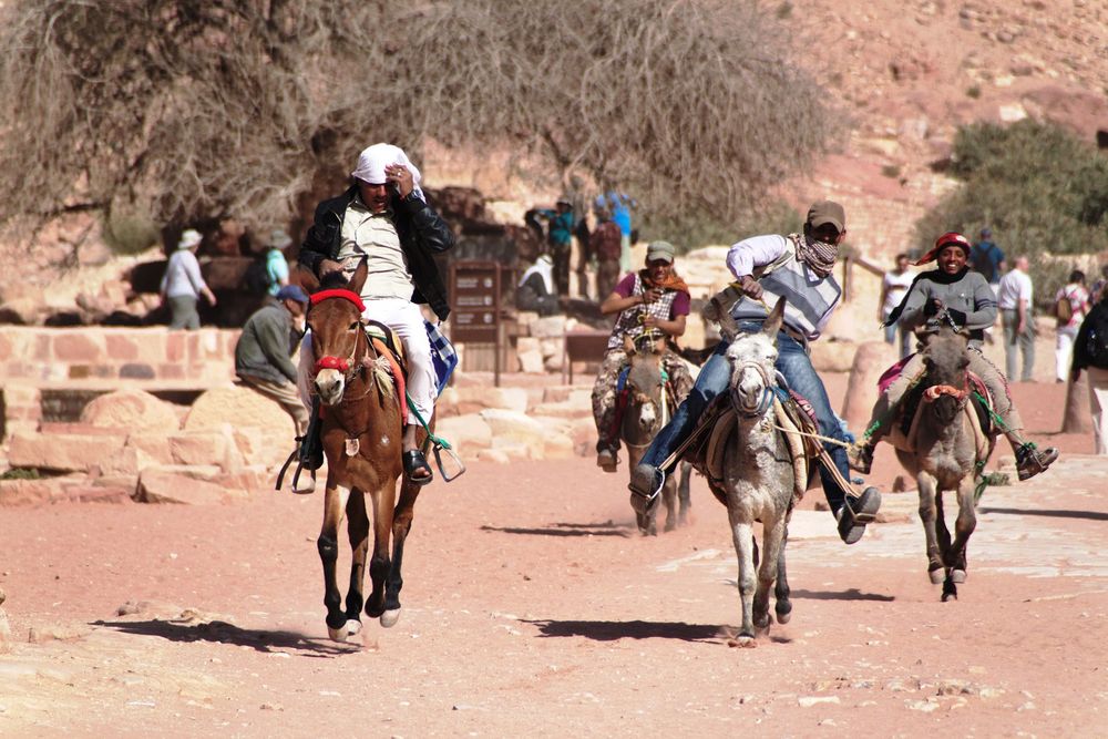 Wettkampf der Eselführer in Petra