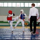 Wettkampf-Taekwondo 01