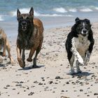 Wettlauf am Strand