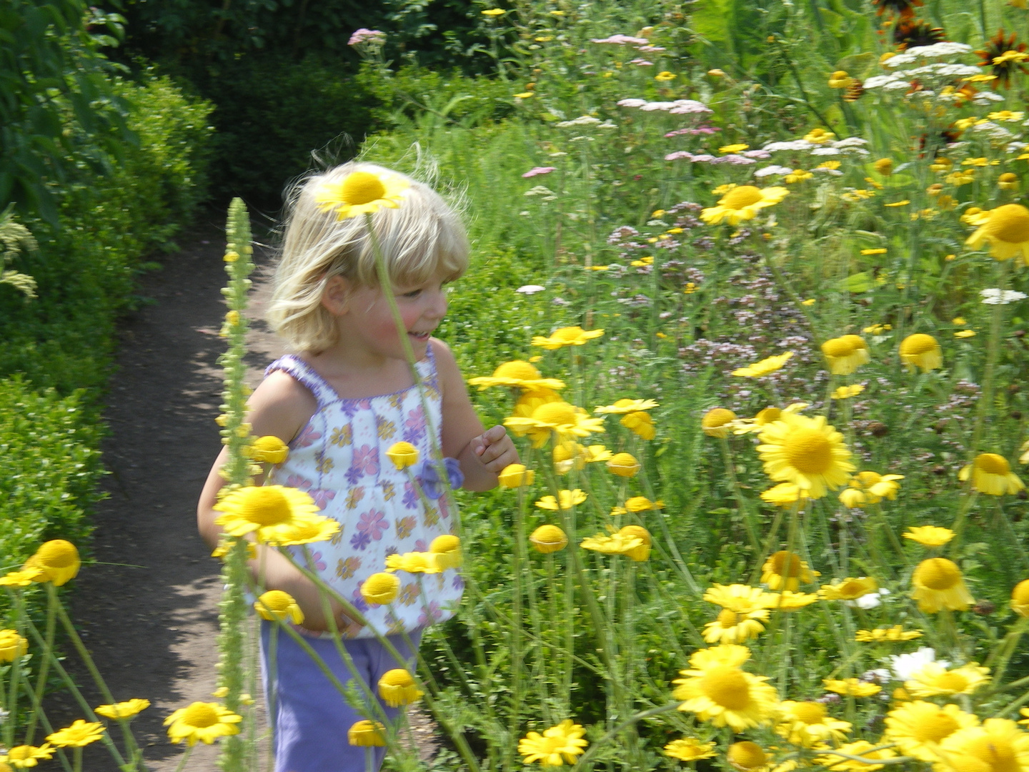 Wettlauf durch den Kräutergarten