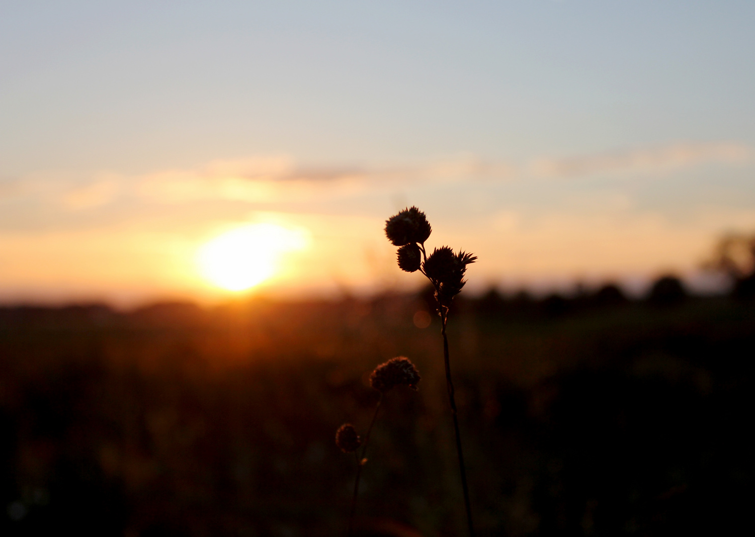 Wettlauf mit der Zeit .... Sonnenuntergang