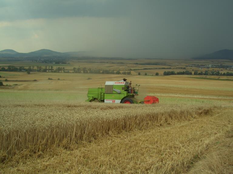 Wettlauf...Mähdrescher gegen Regenfront