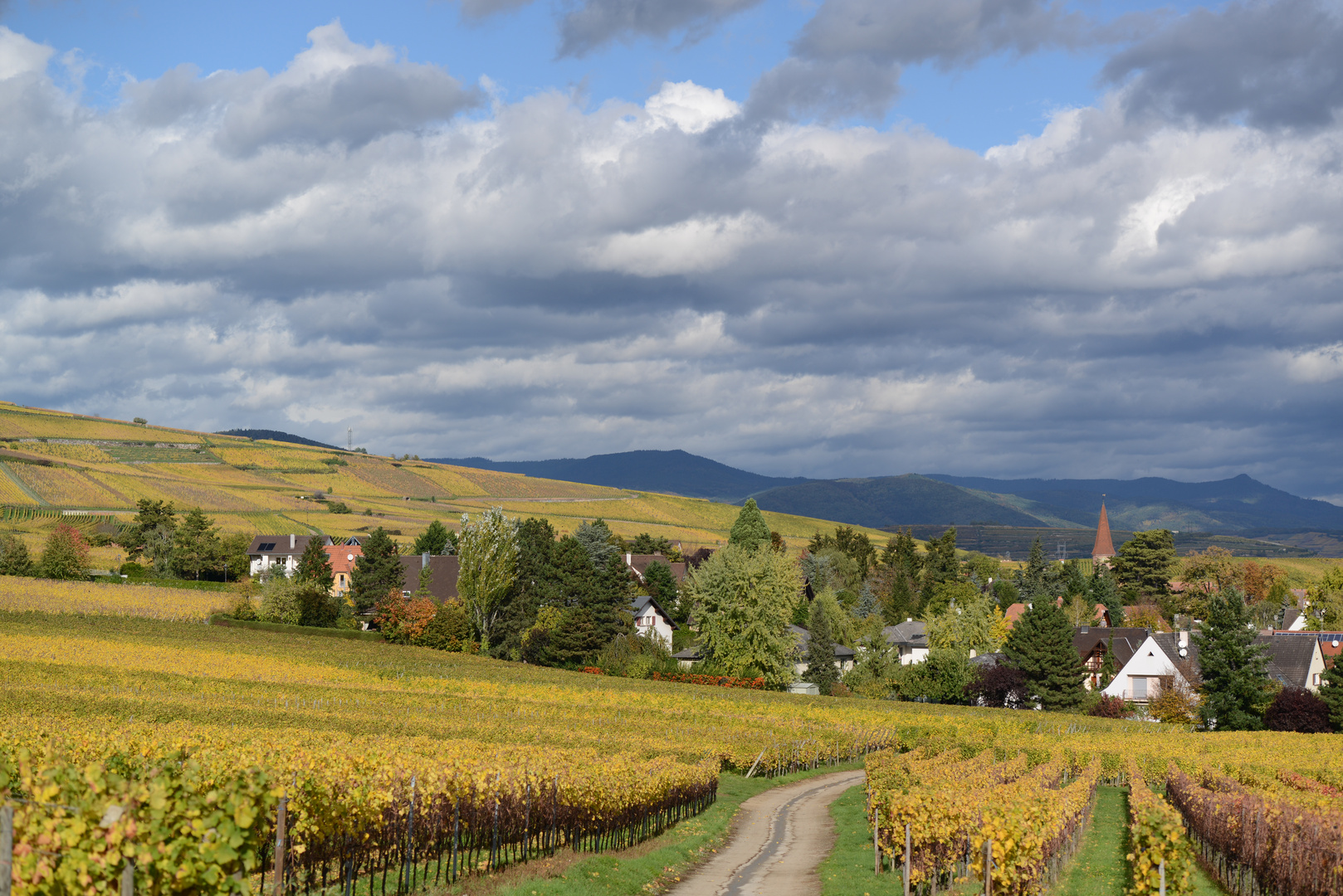 WETTOLSHEIM un voisin d'EGUISHEIM