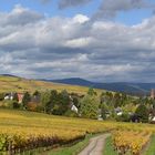 WETTOLSHEIM un voisin d'EGUISHEIM