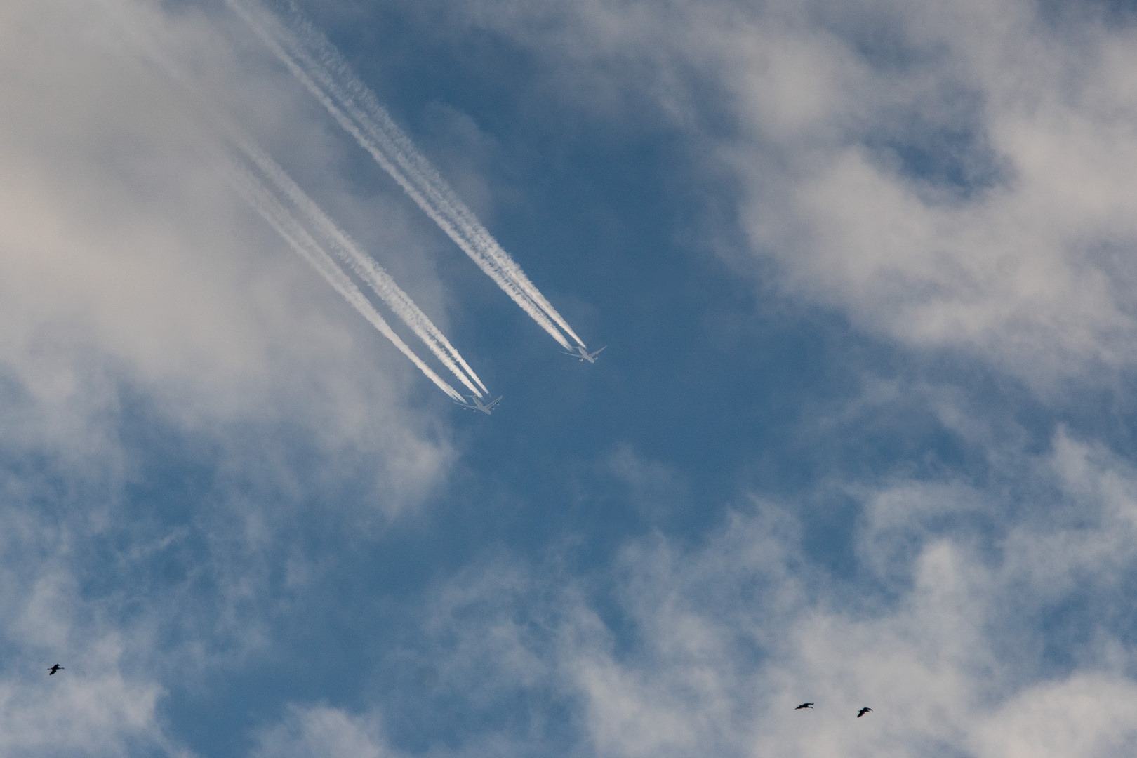 Wettrennen am Himmel