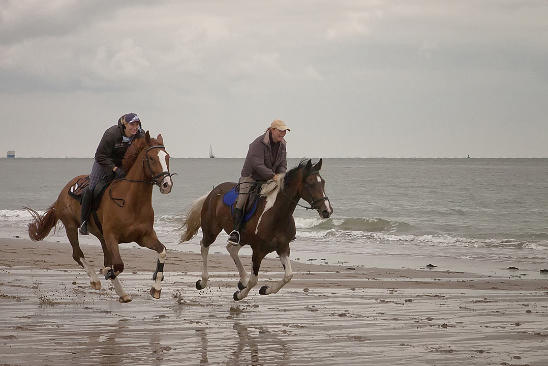 Wettrennen an der Nordsee