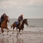 Wettrennen an der Nordsee