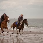 Wettrennen an der Nordsee