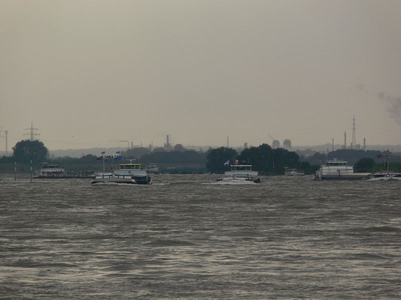 Wettrennen auf dem Rhein