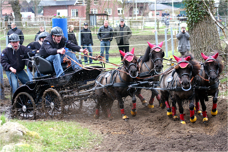 Wettringen 2010