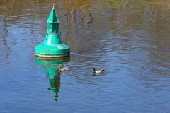 Wettschwimmen um die Boje