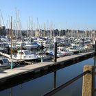 weymouth harbour,the boats