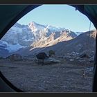 WGCA [51] - GOOD MORNING, TAJIK !