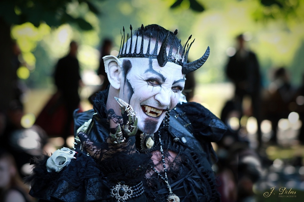 WGT 2014 - Victorian Picnic III